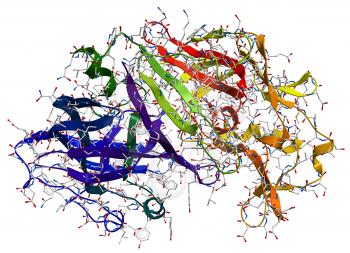 Enzyme pepsin 3D model on a white background