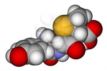 Optimized molecular structure of antibiotic amoxicillin on a white background