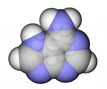 Nucleobase adenine space filling molecular model