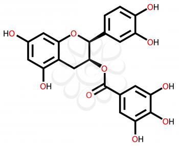 Structural formula of epicatechin gallate, a natural flavonoid found in plants