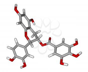 Optimized molecular model of epicatechin gallate, a natural flavonoid found in plants