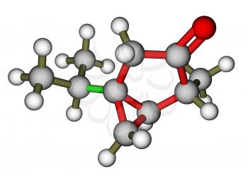 Thujone, compound with menthol odor, constituent of absinthe