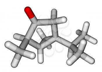 Thujone, compound with menthol odor, constituent of absinthe