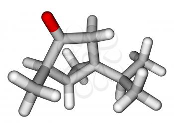 Thujone, compound with menthol odor, constituent of absinthe