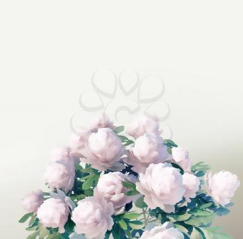 peony