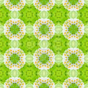 Abstract circle floral seamless background from daisy flower.