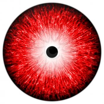 Illustration of a red eye with light reflection on a white background.