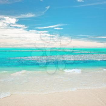 Tropical beach on lost island outdoor scene