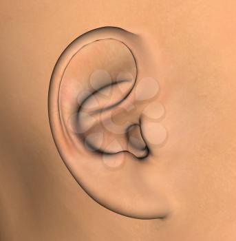 Human ear background detail. 3d illustration design element.