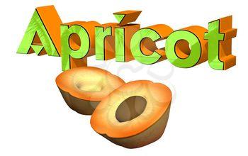 Apricot Clipart