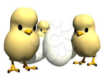 Chicks Clipart