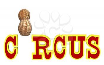 Nut Clipart