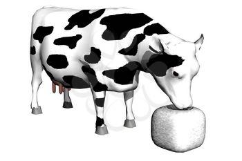 Cow Clipart