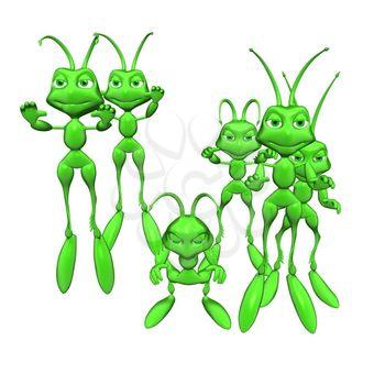 Insects Clipart