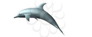 Cetacean Clipart