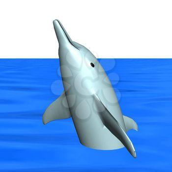 Cetacean Clipart