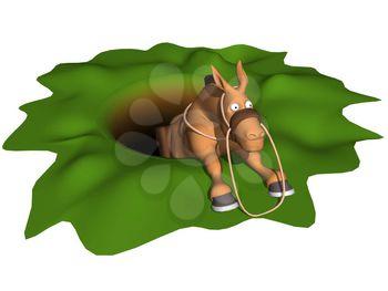 Equine Clipart