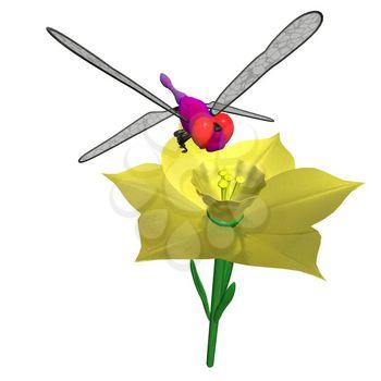 Insect Clipart