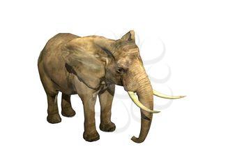 Tusks Clipart