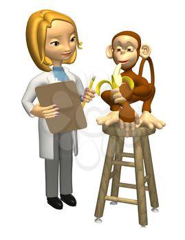 Monkey Clipart