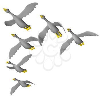 Avian Clipart