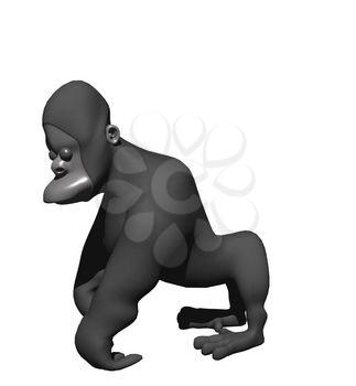 Primate Clipart