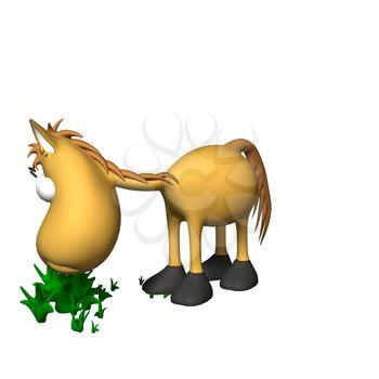 Equine Clipart