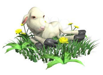 Lamb Clipart