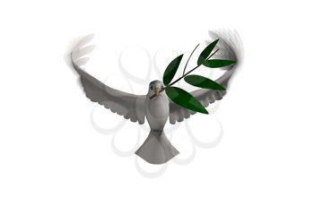 Peace Clipart