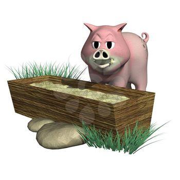 Swine Clipart