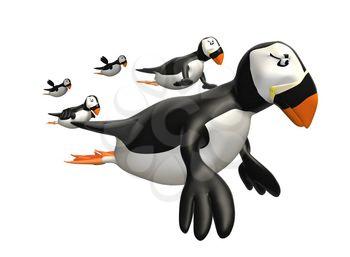 Puffins Clipart
