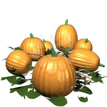 Pumpkins Clipart