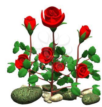 Roses Clipart