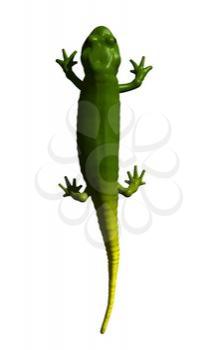Salamander Clipart