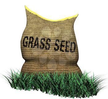 Seed Clipart