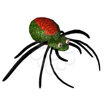 Arachnid Clipart