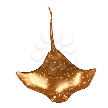 Stingray Clipart