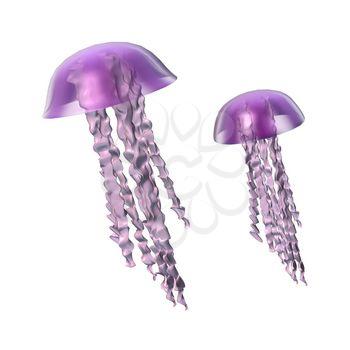 Jellyfish Clipart