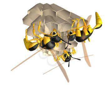 Wasps Clipart