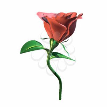 Rose Clipart