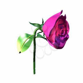 Rose Clipart