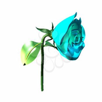 Rose Clipart