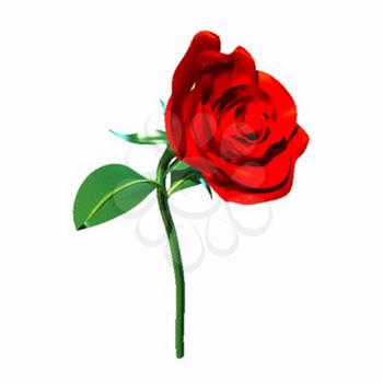 Rose Clipart