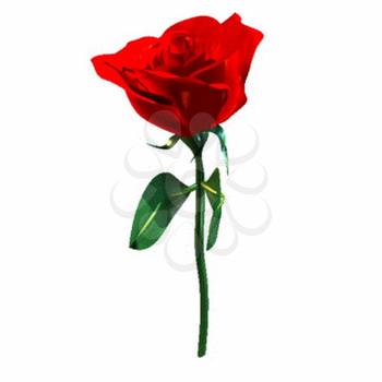 Rose Clipart