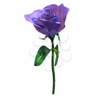 Rose Clipart