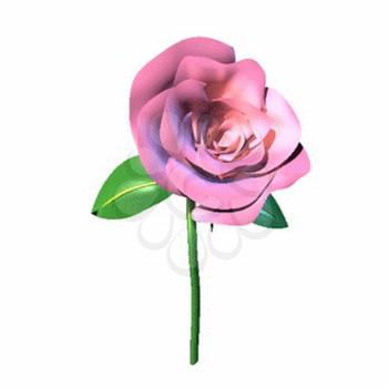 Rose Clipart