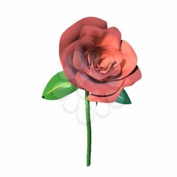 Rose Clipart