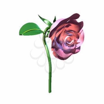 Rose Clipart