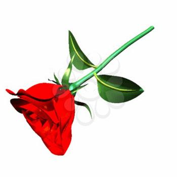 Rose Clipart