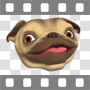 Head shot of cute pug dog